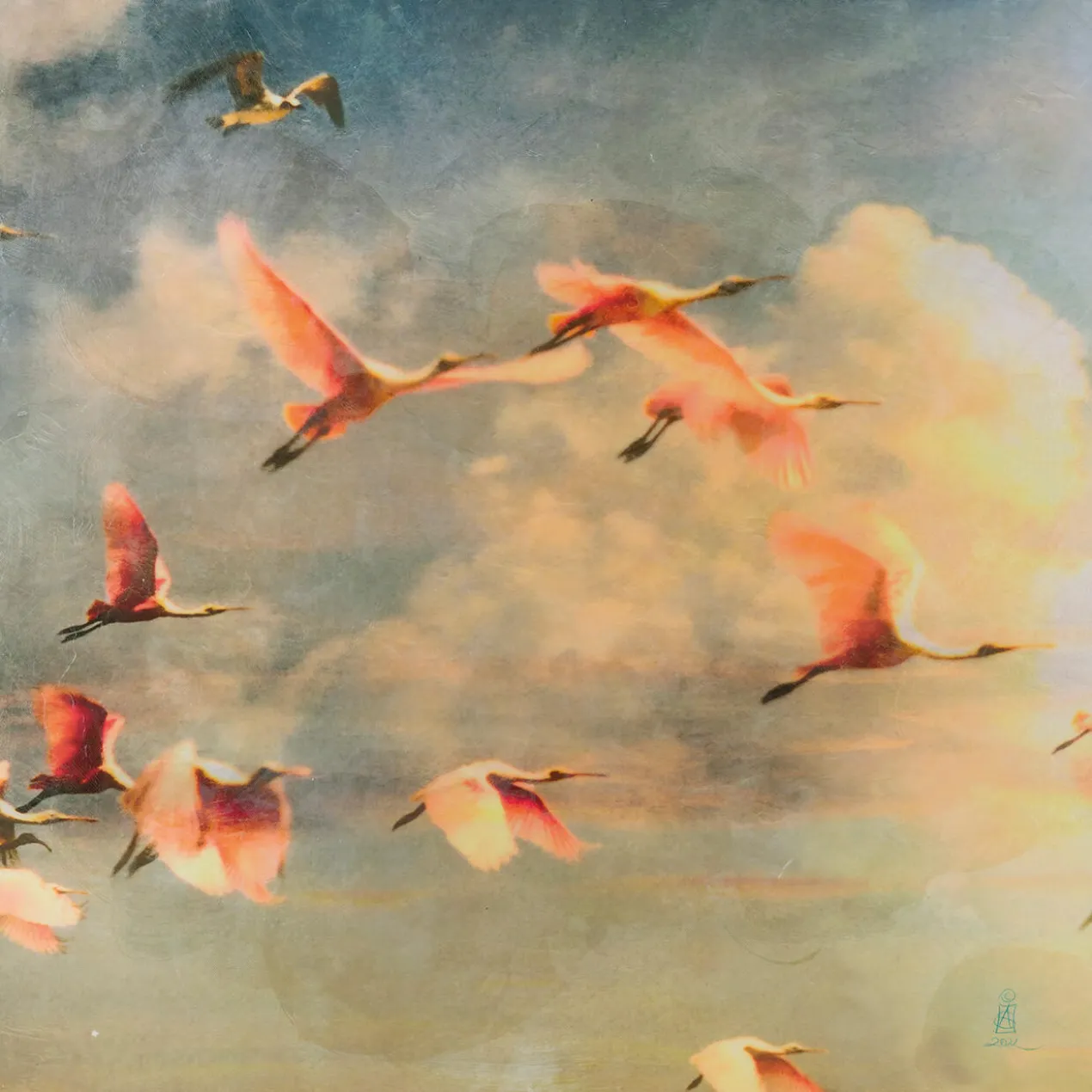 Agnete Sabbagh – Flamingos