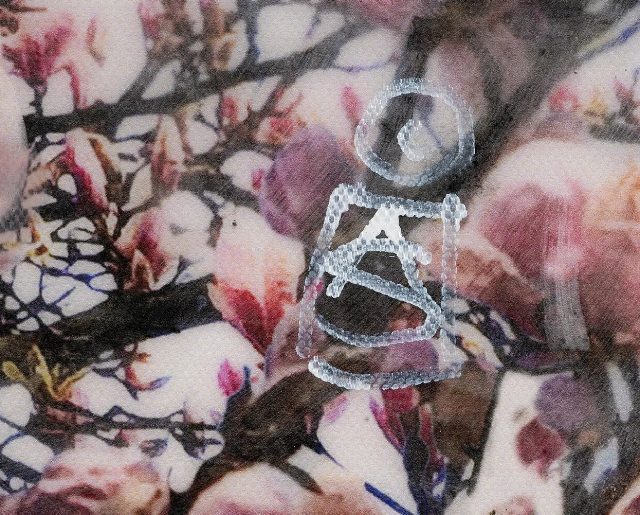 Agnete Sabbagh – Magnolia