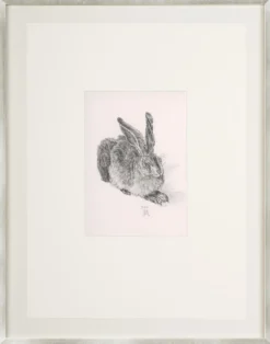 Albrecht Dürer (reeditiert) – Feldhase