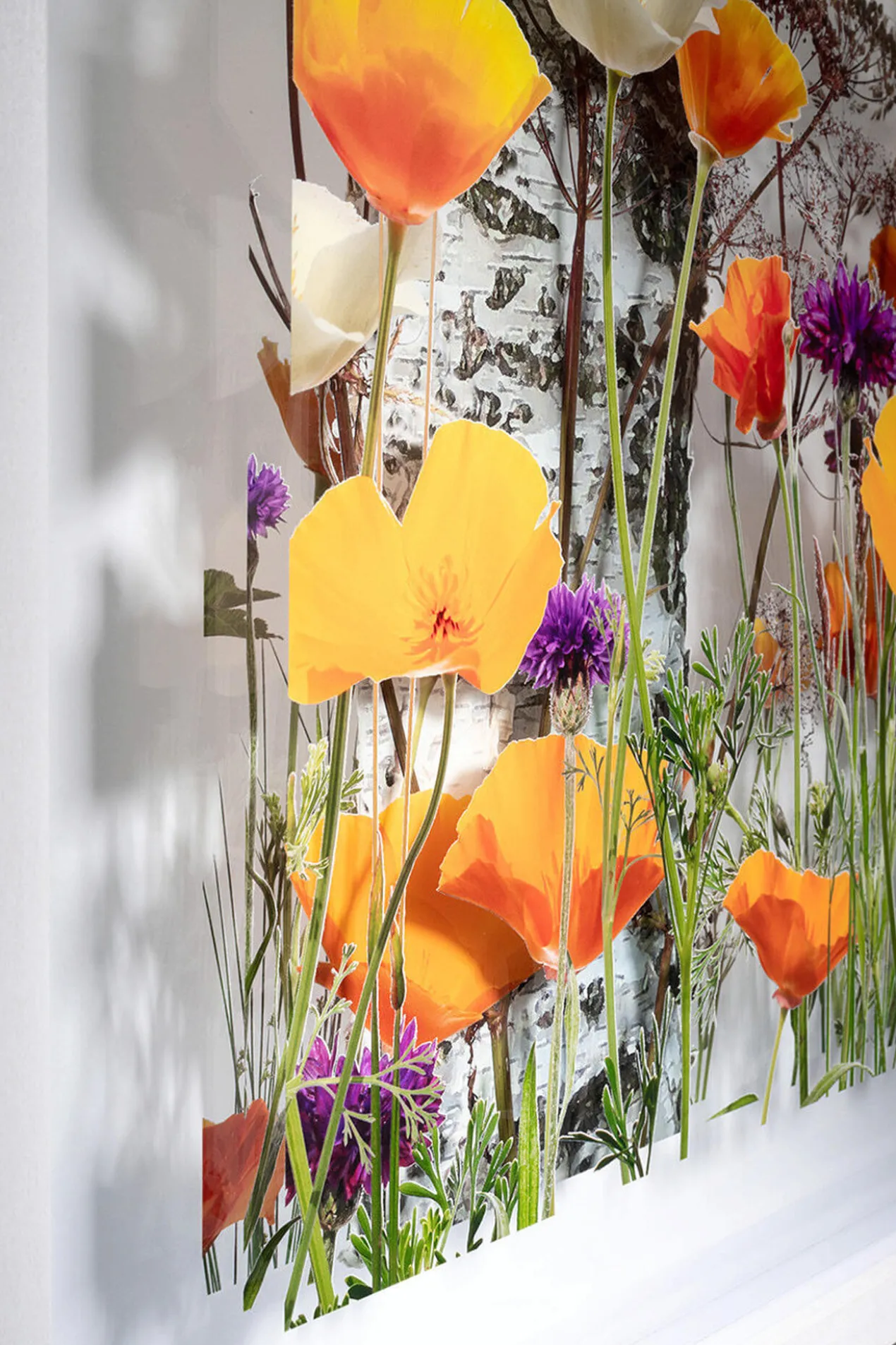 Andreas Lutherer – Birken im Goldmohn