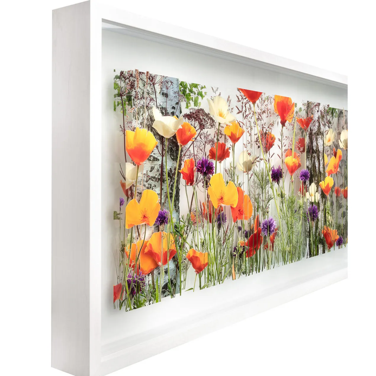 Andreas Lutherer – Birken im Goldmohn