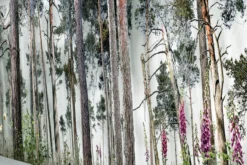 Andreas Lutherer – Kiefernwald, 2023