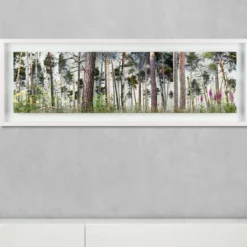 Andreas Lutherer – Kiefernwald, 2023