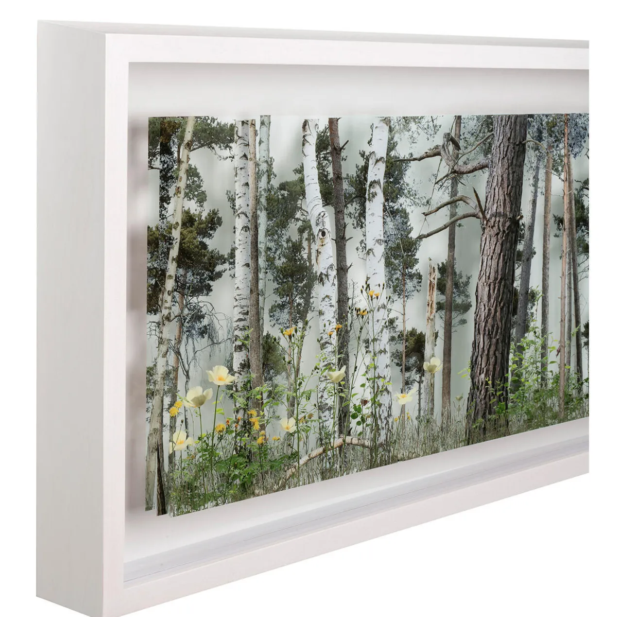 Andreas Lutherer – Kiefernwald, 2023