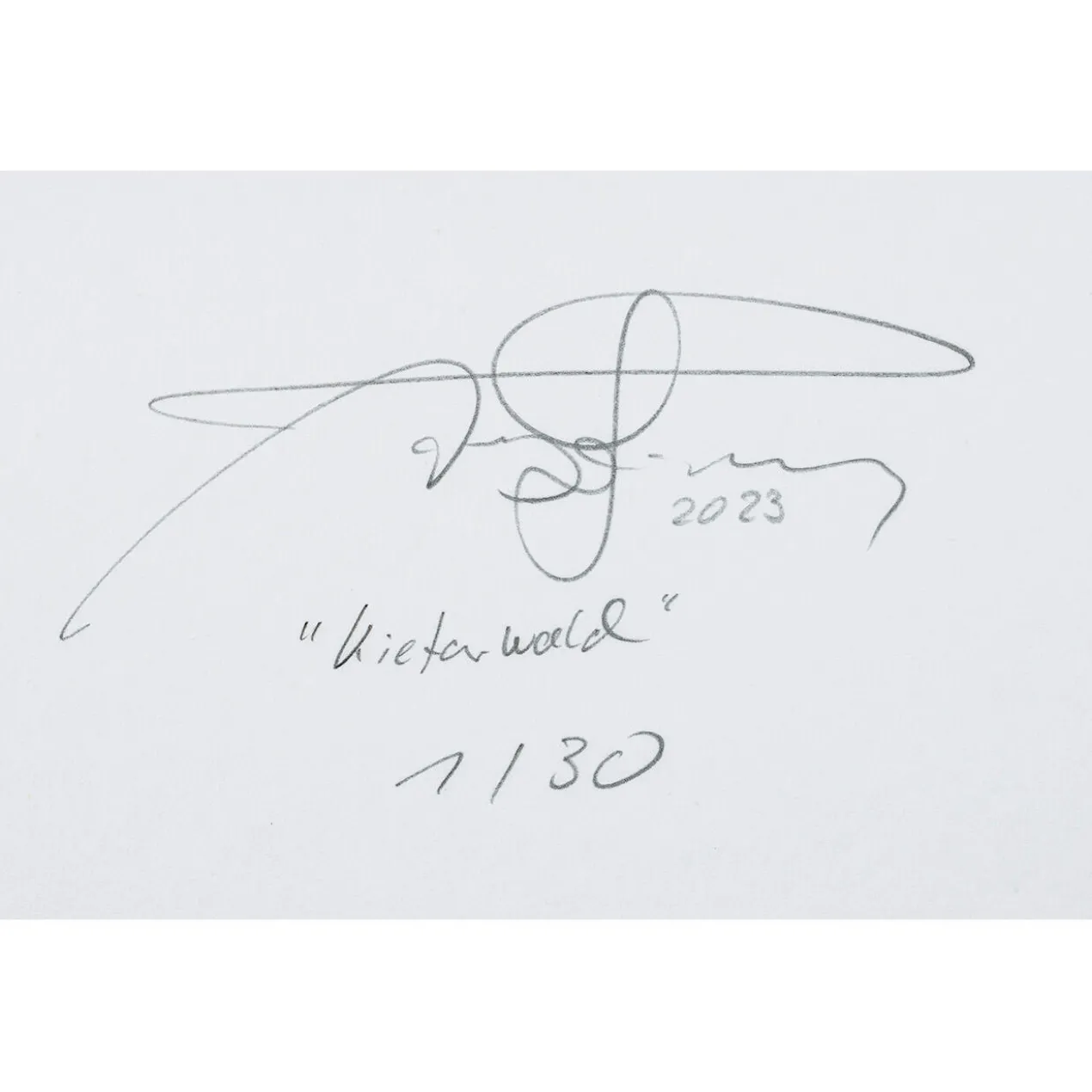 Andreas Lutherer – Kiefernwald, 2023