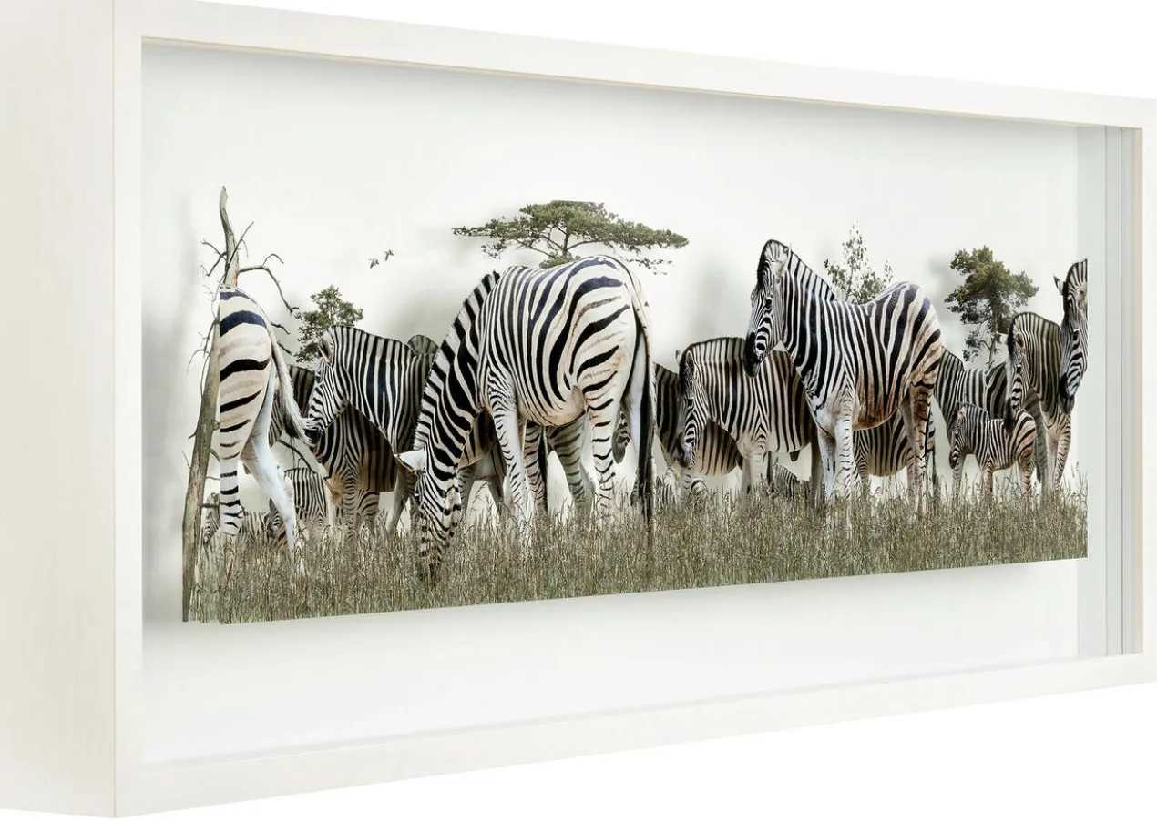 Andreas Lutherer – Zebras