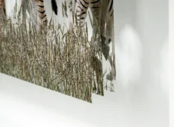 Andreas Lutherer – Zebras