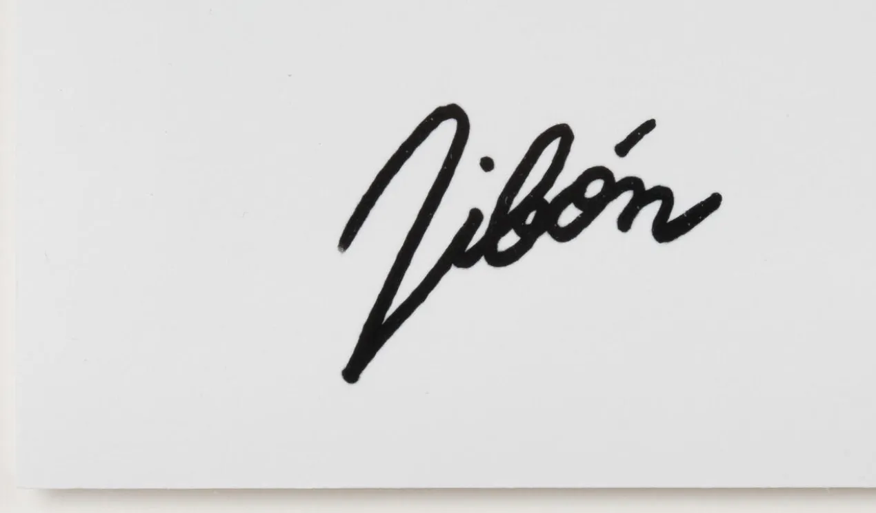 Andrés Ribón Troconis – Gesture of affection
