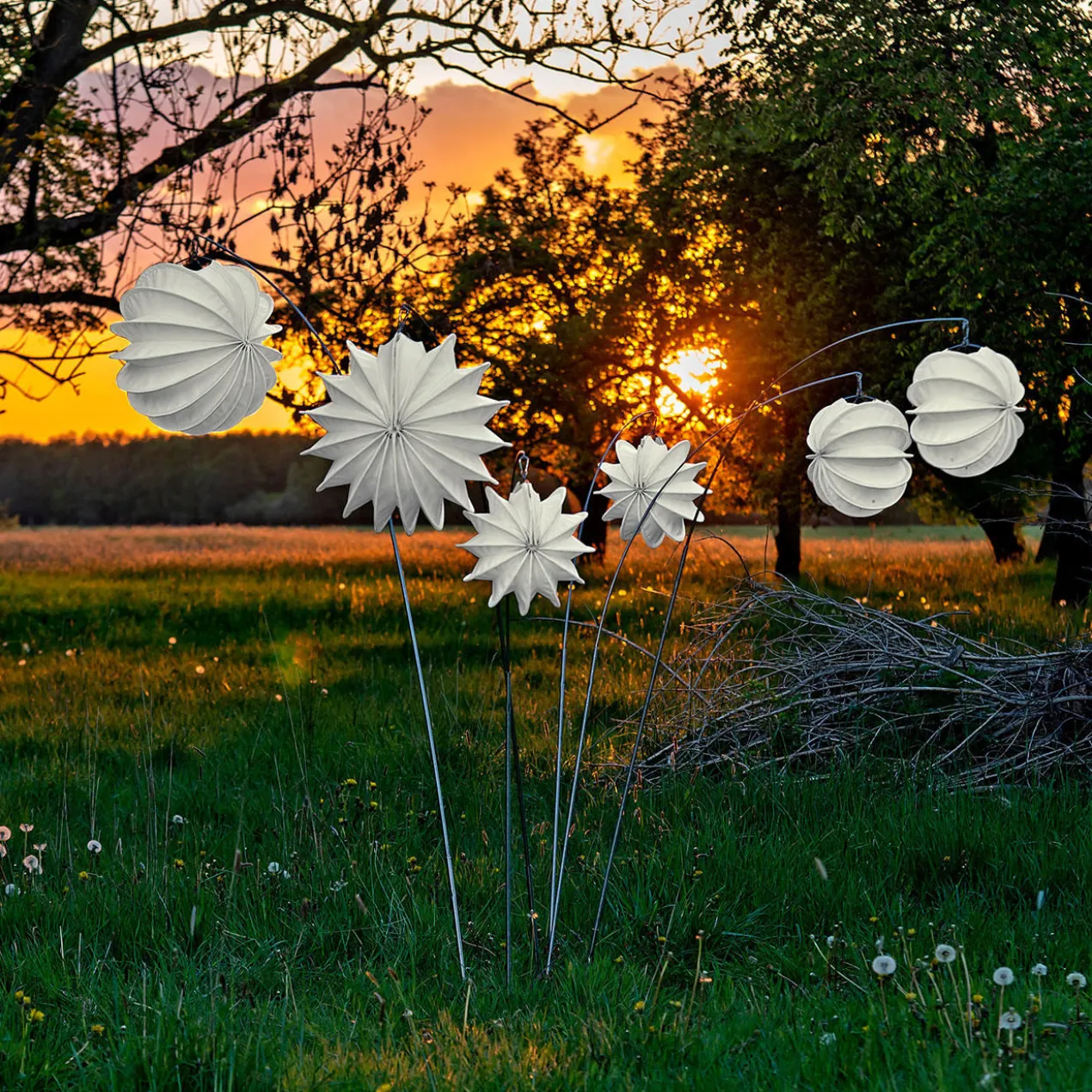 Barlooon Allwetter Lampion