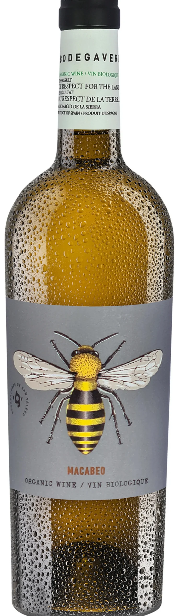 Bodegaverde Macabeo 2023, Bodega San Valero, Cariñena DOP, Spanien