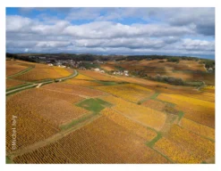Bourgogne Montagny 2024, Vignerons de Buxy, Burgund, Frankreich