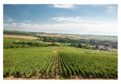 Chablis 1er Cru Les Fourneaux 2022, La Chablisienne, Chablis 1er Cru Les Fourneaux AOC, Frankreich