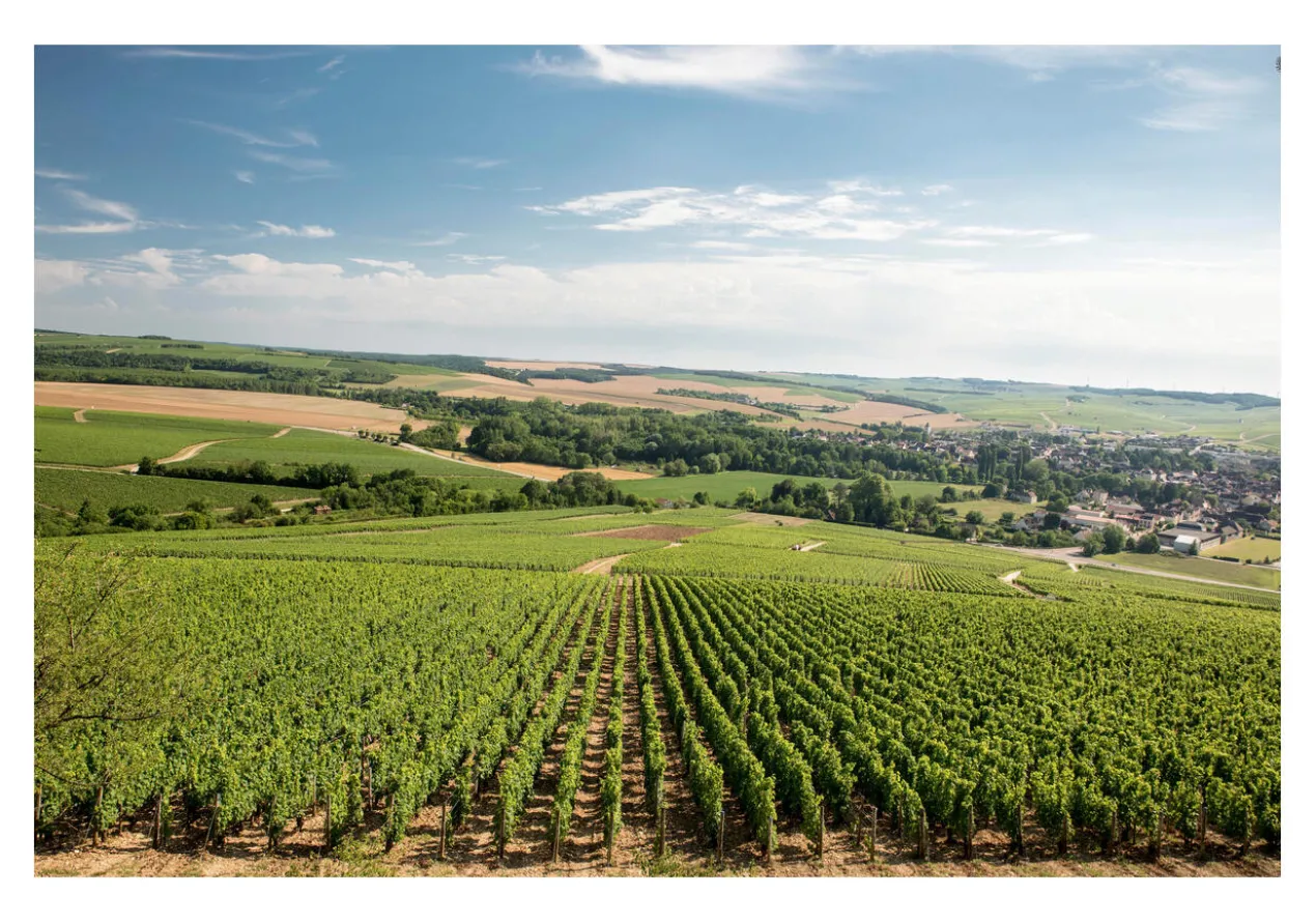 Chablis 1er Cru Les Fourneaux 2022, La Chablisienne, Chablis 1er Cru Les Fourneaux AOC, Frankreich