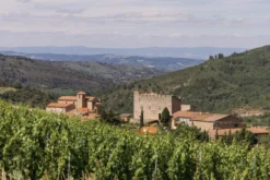 Chardonnay Vestige 2023, Bijou, Limoux AOP, Frankreich