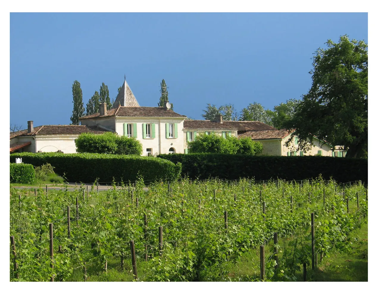 Château La Croix de Roche 2020, Bordeaux Supérieur, Frankreich