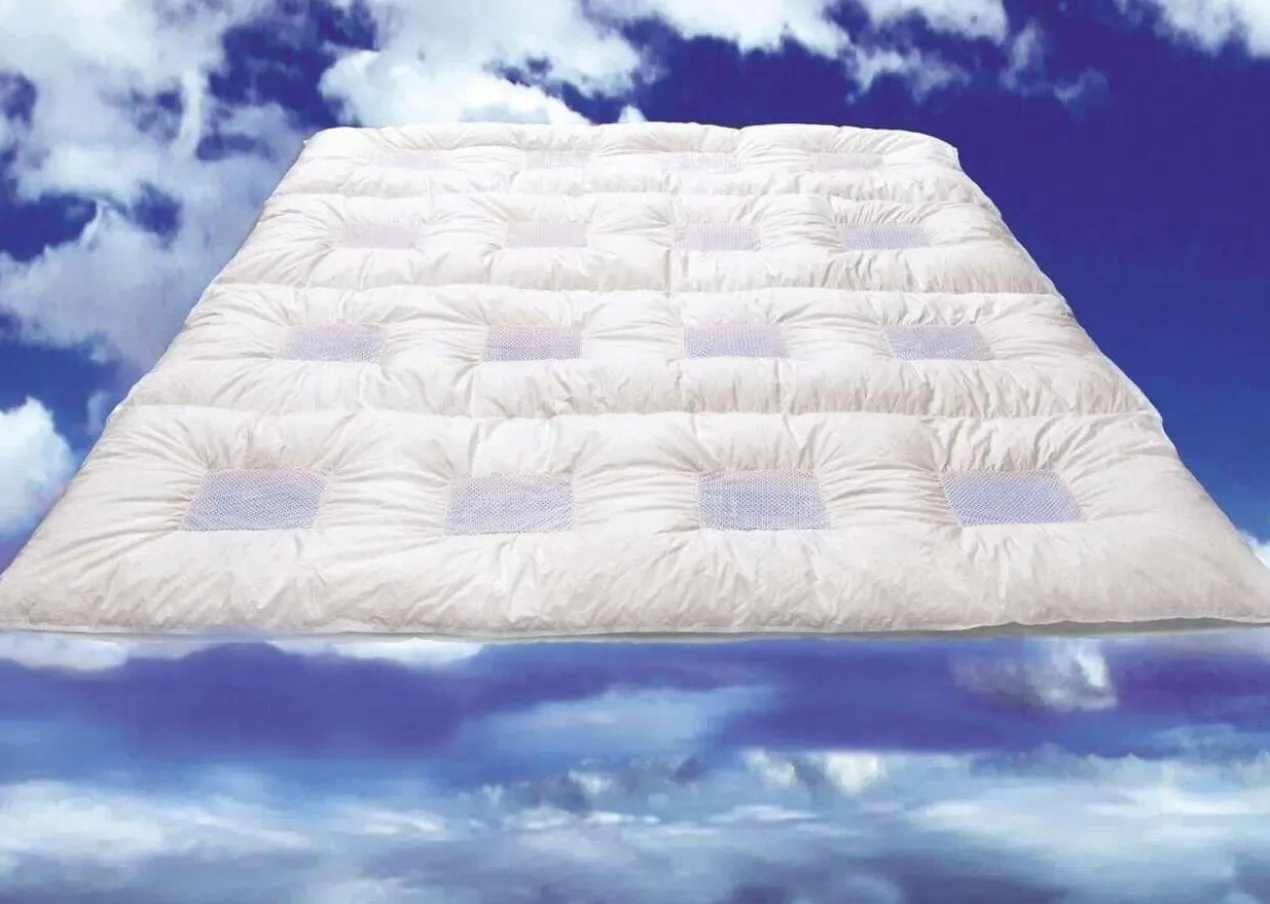 ClimaBalance Daunendecke