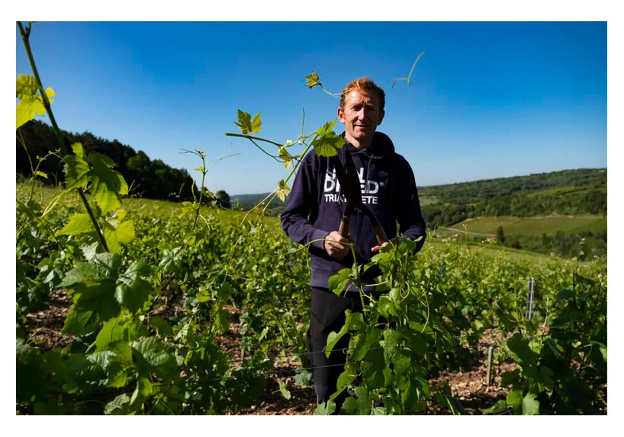 Clou 377 2023, Boris Champy, Bourgogne Hautes-Côtes de Beaune AOP, Frankreich