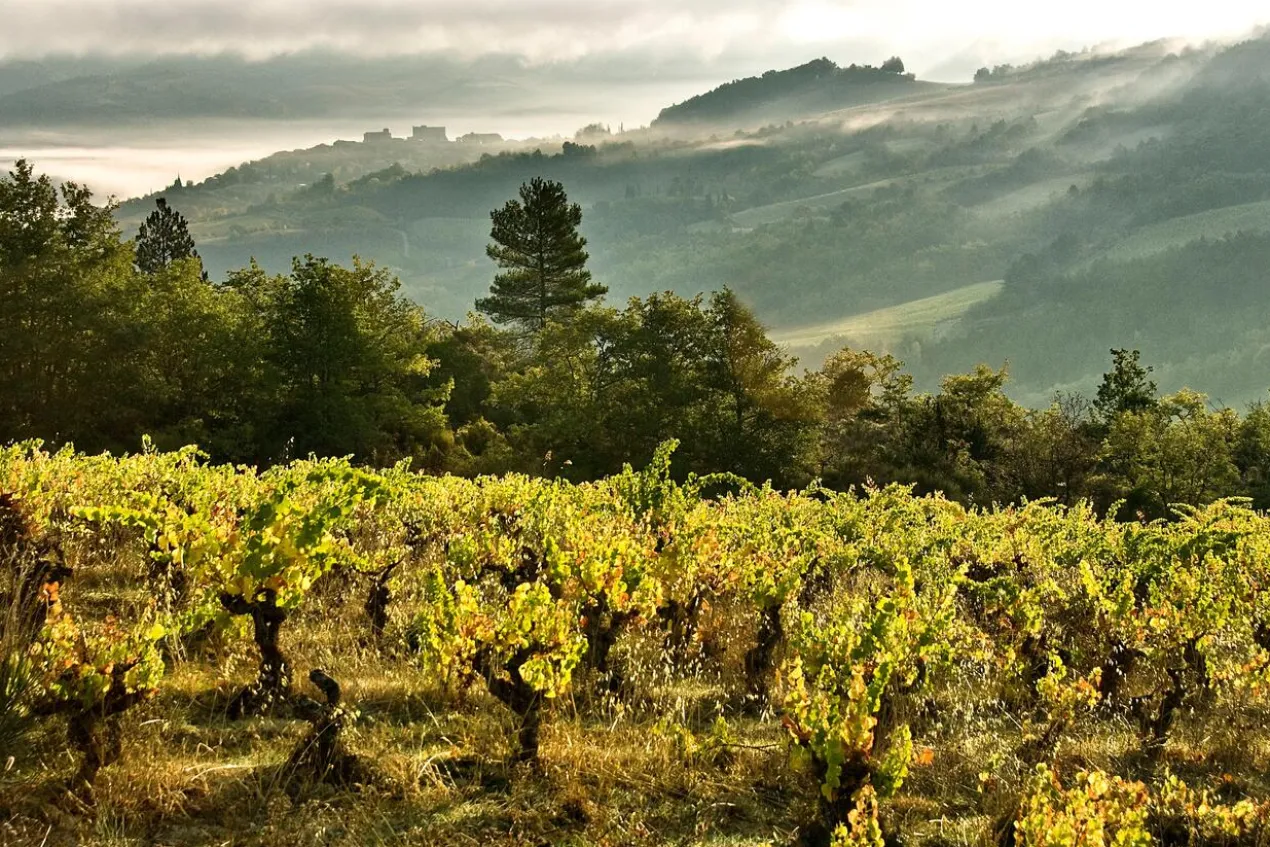 Cremant de Limoux Brut Organic, Sieur d´Arques, Languedoc, Frankreich