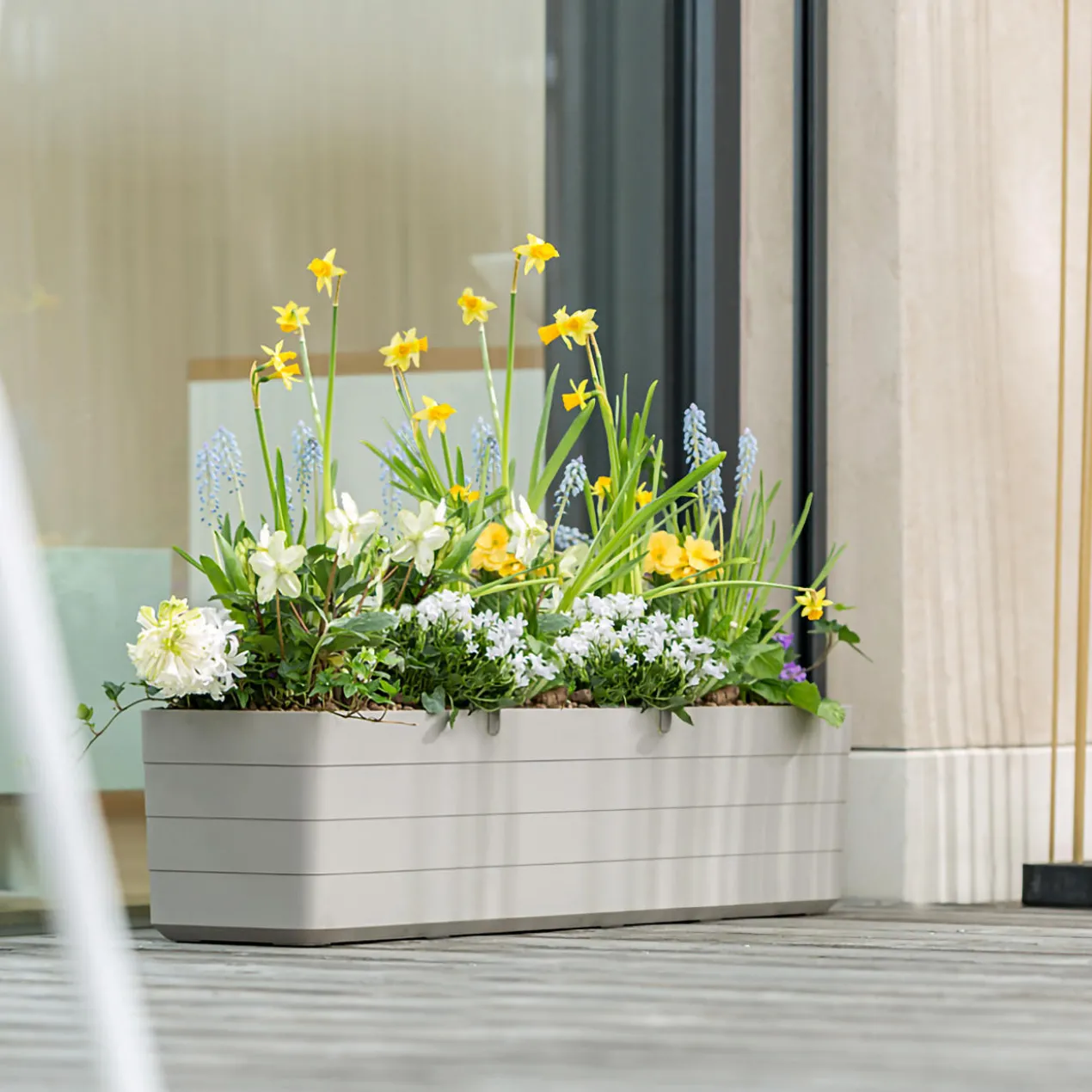 Design-Blumenkasten
