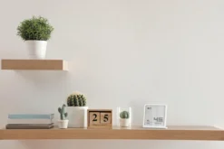 Design-Hygrometer