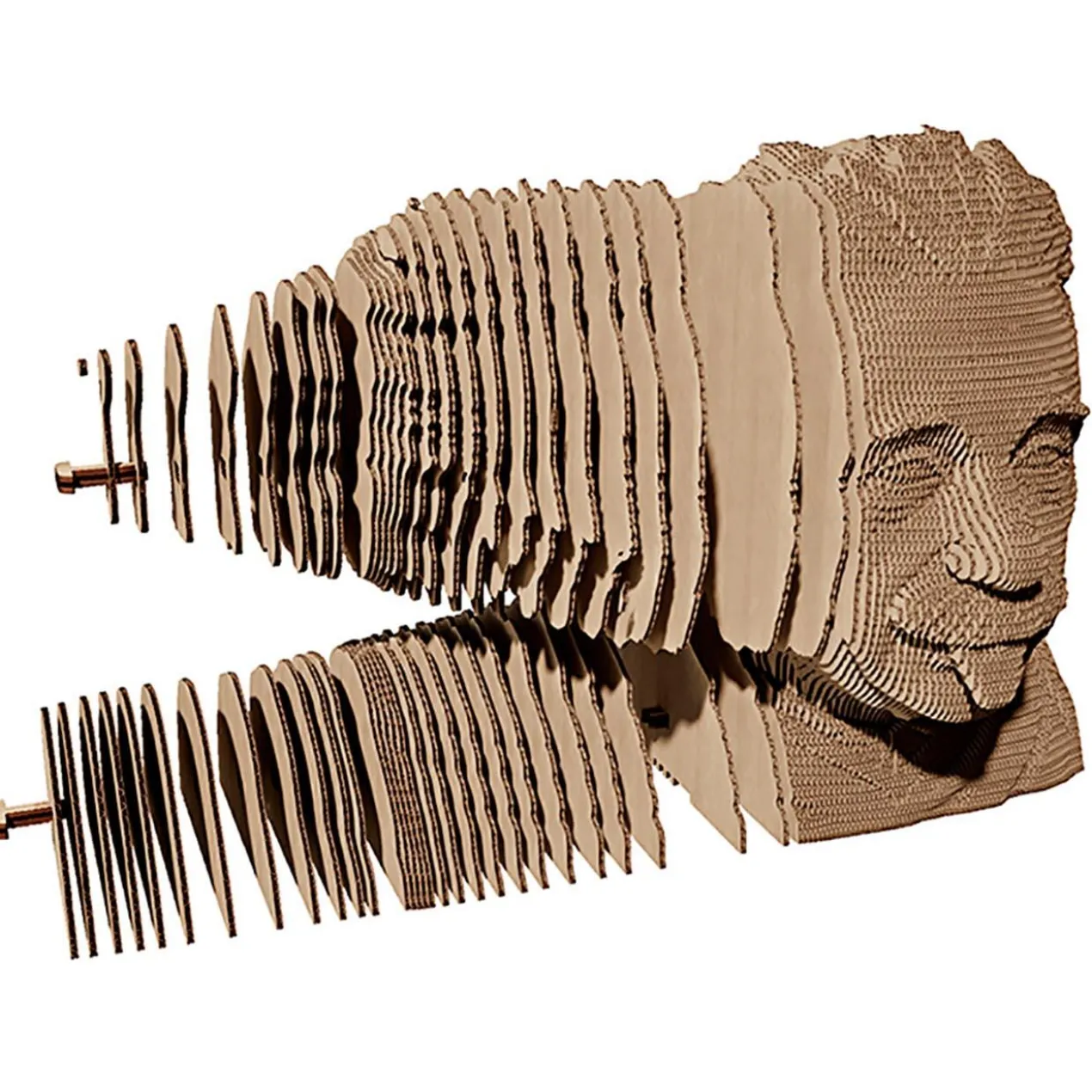 3D Puzzle Pappe
