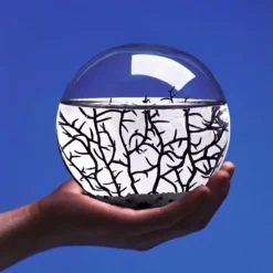 Ecosphere®