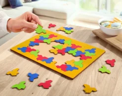 EinStein Puzzle