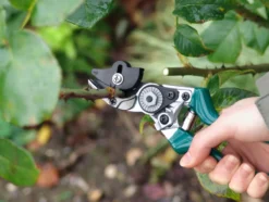 Gartenschere mit Festhaltefunktion