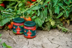 Hermina Salsa Paradiso, 3 x 290 g