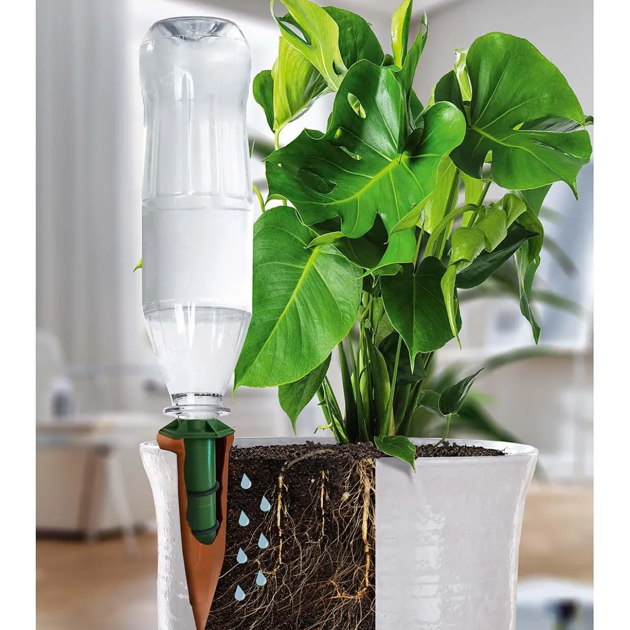 Hydro Wine Tonkegel oder Adapter, 4er-Set