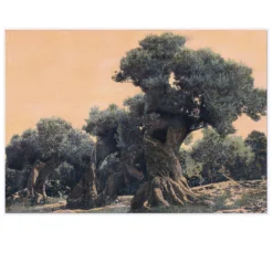 Ingo Wegerl – Der Olivenbaum