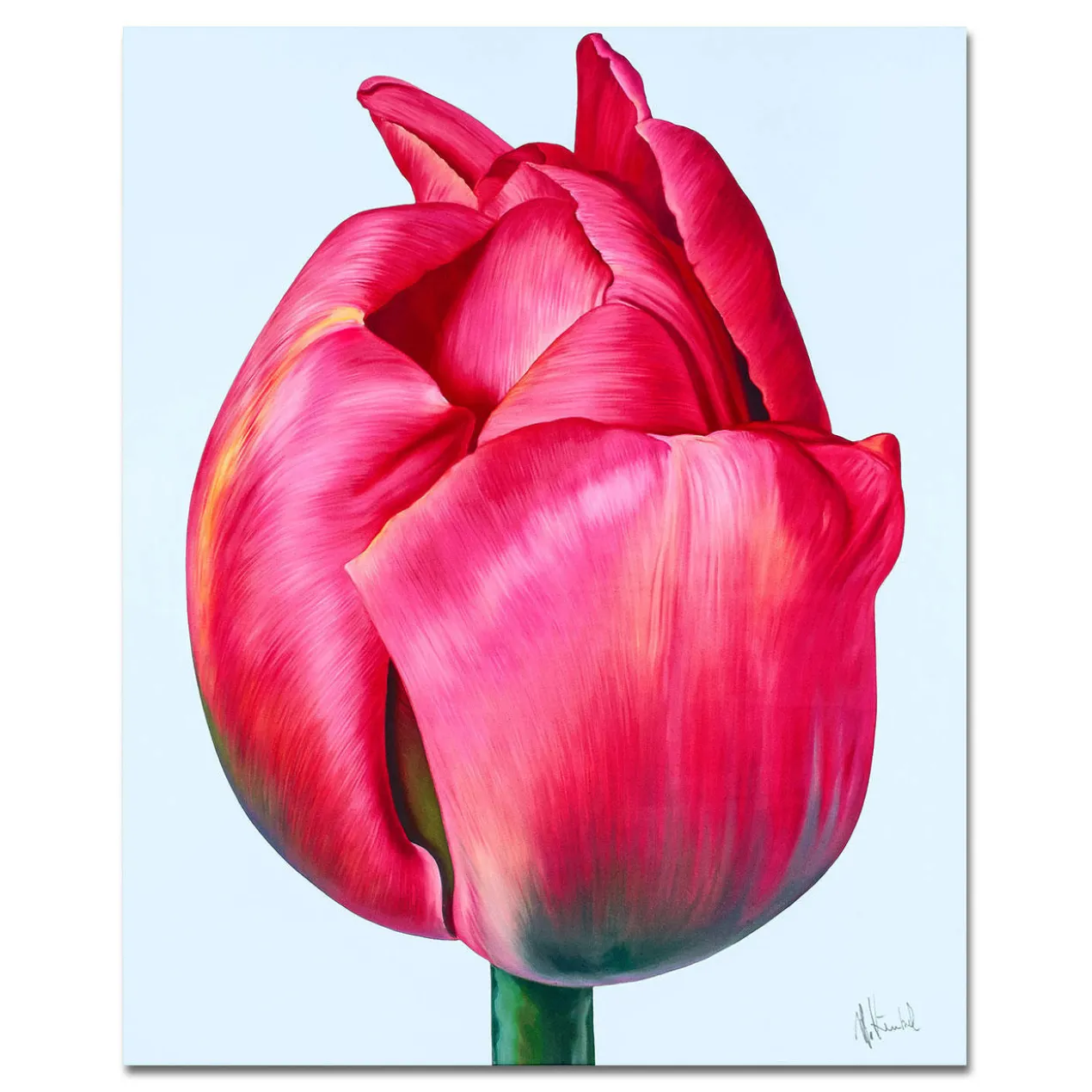 Jean-Pierre Kunkel – Große Tulpe III