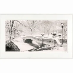 Koshi Takagi – Central Park