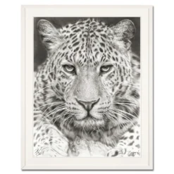 Koshi Takagi – Leo