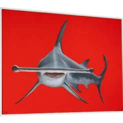 Lea Fricke – Hammerhead Shark