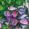 Pei Lian Zhi – Day in Spring