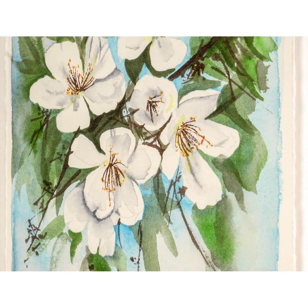 Rashmi Thodkar – Flowers