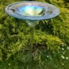 Regenbogenglas-Vogeltränke