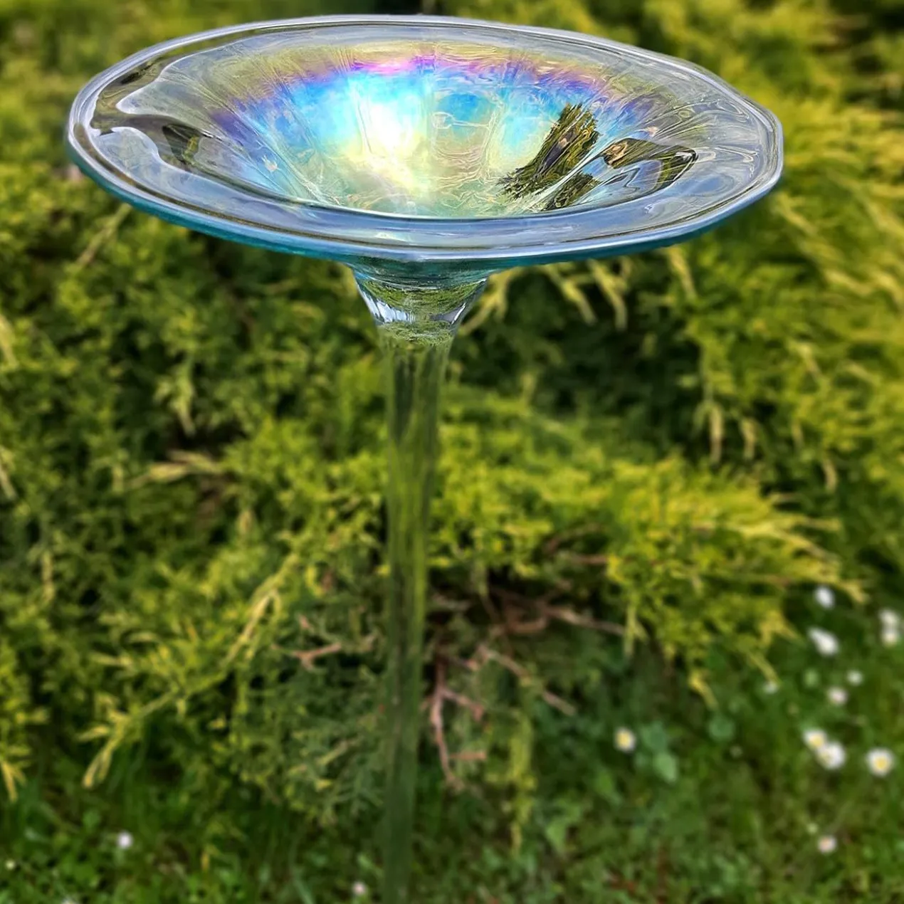 Regenbogenglas-Vogeltränke