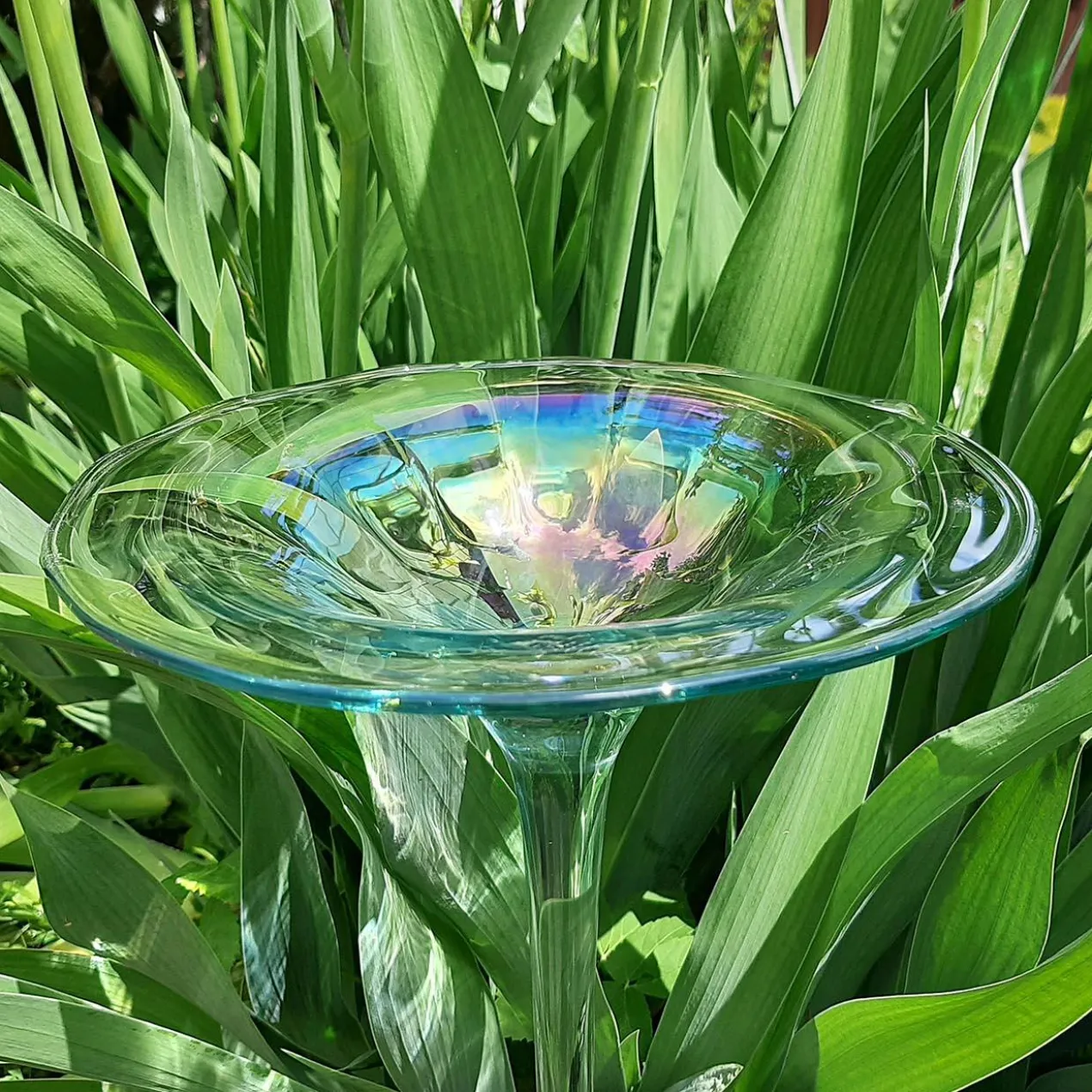 Regenbogenglas-Vogeltränke