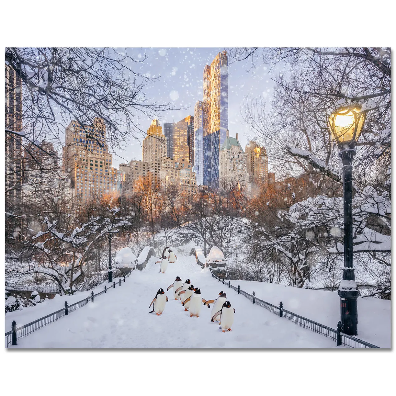 Robert Jahns – New York City Penguins II