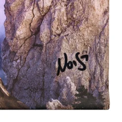 Robert Jahns – Top of the World