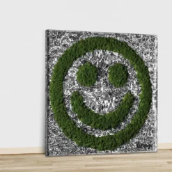 Romulo Kuranyi – Living Smile