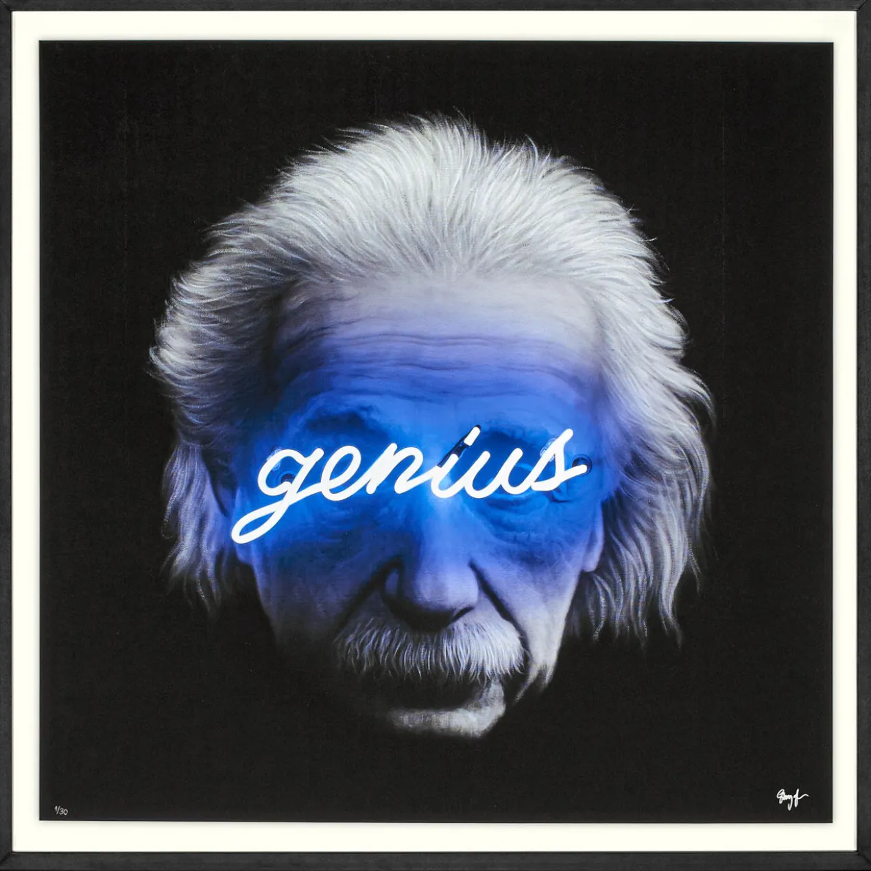 Shyglo – Genius