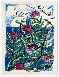 Stefan Szczesny – Mallorca Oleander