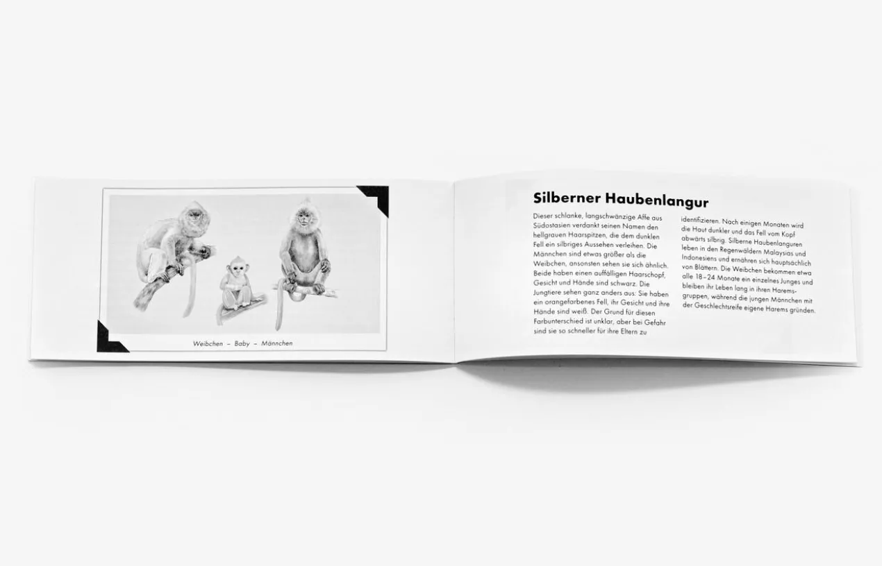 Tierfamilien-Memo-Spiel