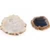 Untersetzer aus fossilem Holz, 2er-Set