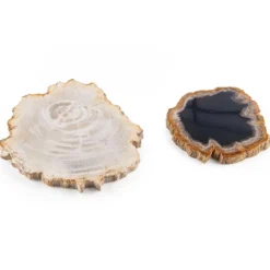 Untersetzer aus fossilem Holz, 2er-Set