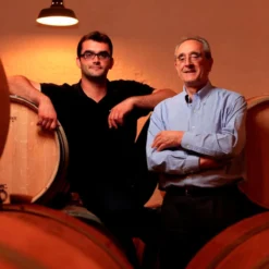 Vieux Château Saint André 2021, Montagne Saint-Emilion, Bordeaux, Frankreich