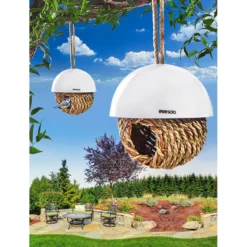 Vogelnest